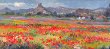 Amapolas